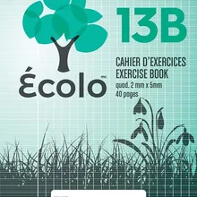[EC13B] Standard Seyès notebook Ecolo 13B, 3 holes, 40 pages