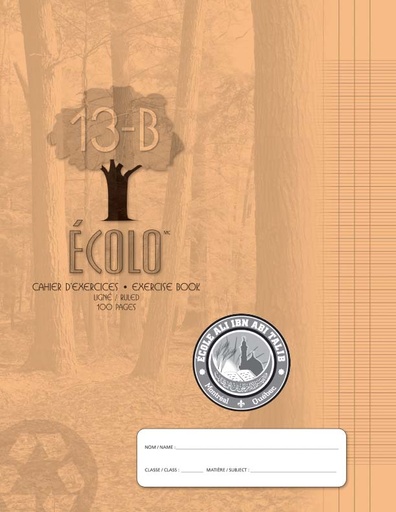 Cahier Séyès Écolo C13B, 100 pages, Orange