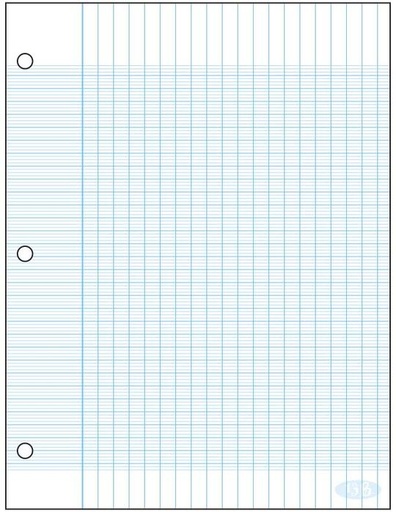 Grande tablette Seyès Ecolo #13B, trouée, 50 feuilles